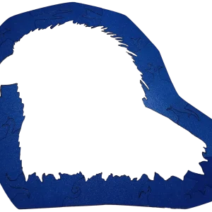Haliaeetus Nousa_Cadre 13 pièces